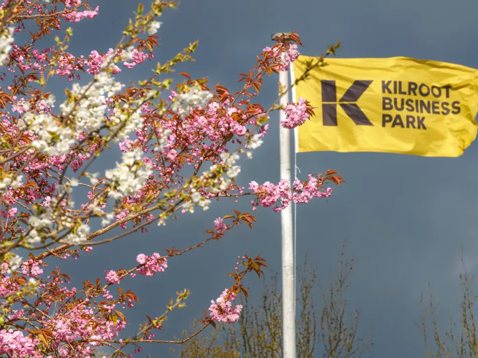 Kilroot Business Park grounds