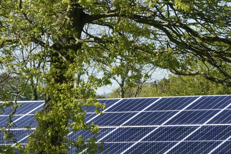 The 1MW on-site solar farm at Kilroot Business Park